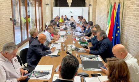 Hasta 2.500 efectivos velarán por la seguridad del dispositivo 'Caminos de Sevilla' del Plan Romero 2024